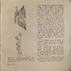 Document_8