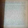 Document_80