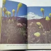 Own Outdoors USA – The Yearbook Of Agriculture 1967 (U.S. Department of Agriculture, Vintage Hardcover Collector Edition) – a historic reference documenting American agriculture, outdoor conservation, and farming practices in 1967. This rare government publication offers illustrated insights into rural life, land management, and environmental heritage—an essential collectible for agriculture historians, rural studies fans, and vintage book lovers.