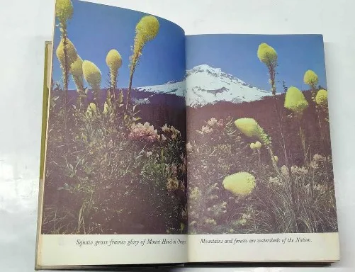 Own Outdoors USA – The Yearbook Of Agriculture 1967 (U.S. Department of Agriculture, Vintage Hardcover Collector Edition) – a historic reference documenting American agriculture, outdoor conservation, and farming practices in 1967. This rare government publication offers illustrated insights into rural life, land management, and environmental heritage—an essential collectible for agriculture historians, rural studies fans, and vintage book lovers.