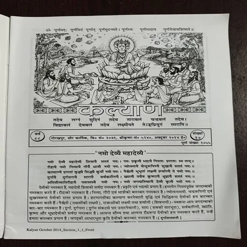 Document 13_41