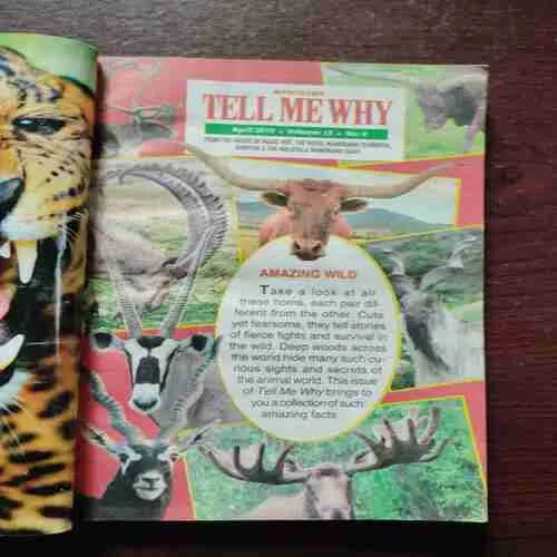 Document 22_14 Document 22_14