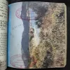 Document 2_25