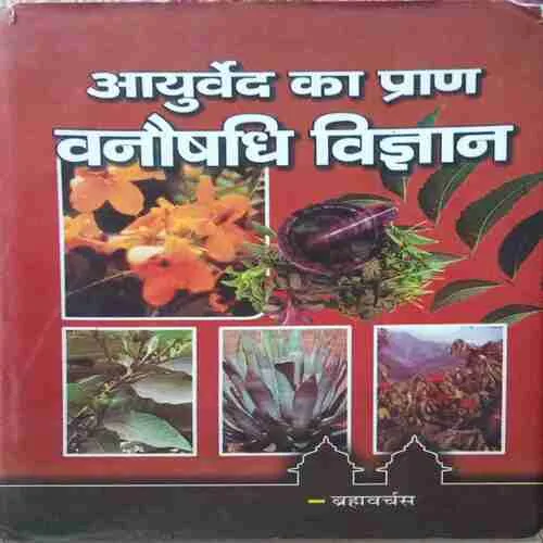 Ayurveda Ka Pran Vanaushadhi Vigyan ( by=Brahmavarchas) (page no=503)