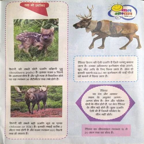 Document 2_29 Document 2_29