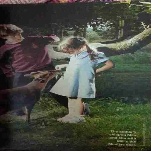 Document 2_32 Document 2_32