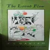 The Loved Flaw ( No. of Pages = 252 ) ( By = k.s. Maniam )