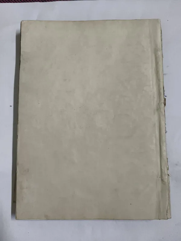 Document 6_19