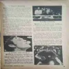 Document_17