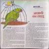 Document_23