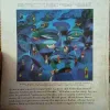 Document_36
