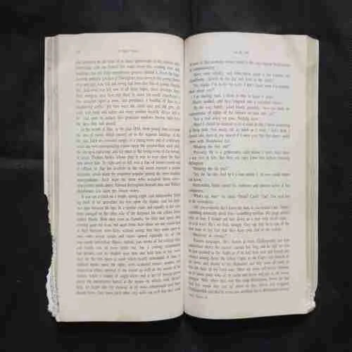 Document 11_115 Document 11_115