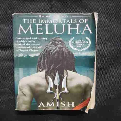 Document 11_125 Document 11_125