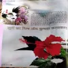Document 131_38
