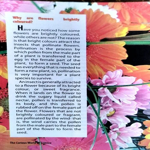 Document 138_8 Document 138_8