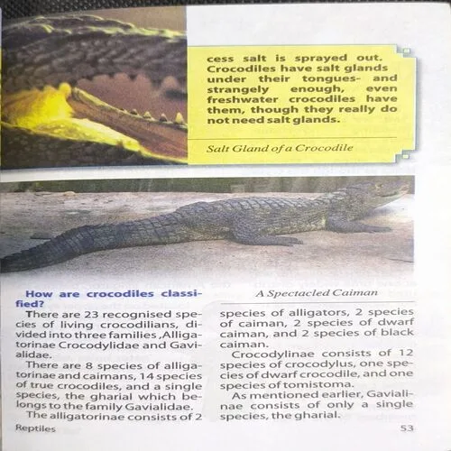 Document 2_17 Document 2_17