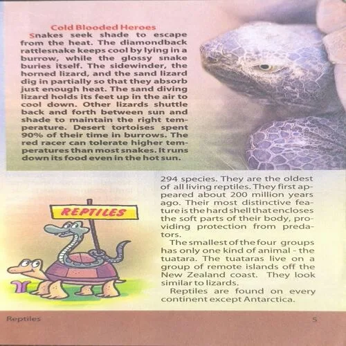 Document 2_18 Document 2_18