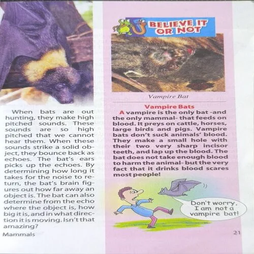 Document 2_28 Document 2_28