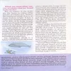 Document 2_44 Document 2_44