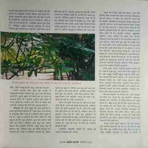 Document 2_47 Document 2_47