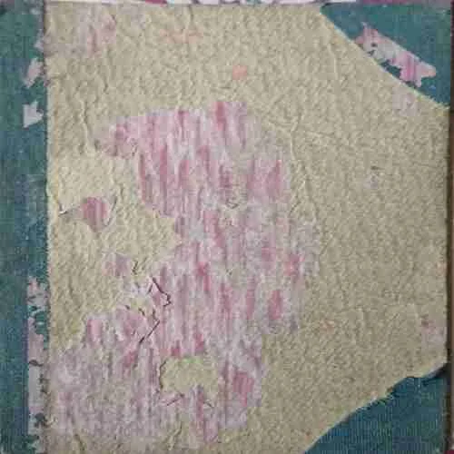 Dil Ek Sada Kagaj ( No. of pages = 236 )