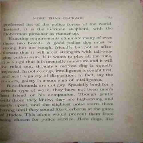 Document 5_35 Document 5_35