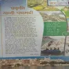 Document 5_5