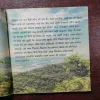 Document 7_17
