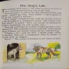 Document_2