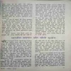 Document_226