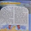 Document_37
