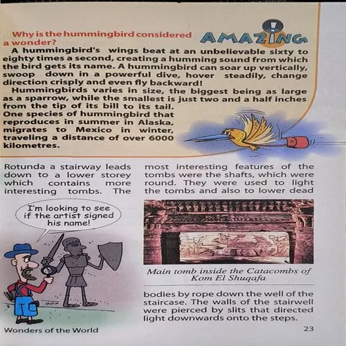 Document_38