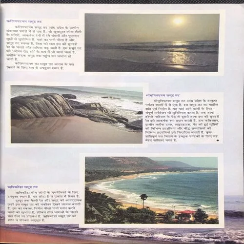 Document_48 Document_48