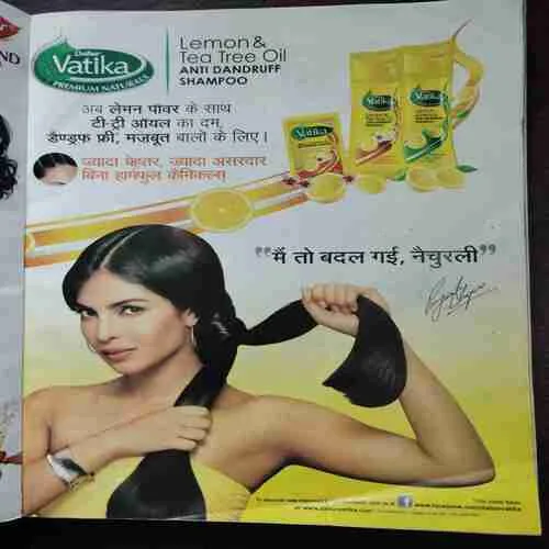 Document_5 Document_5