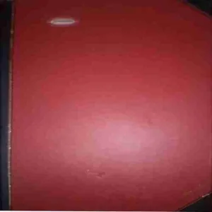 Diary (2007) The pages of diary are reverse