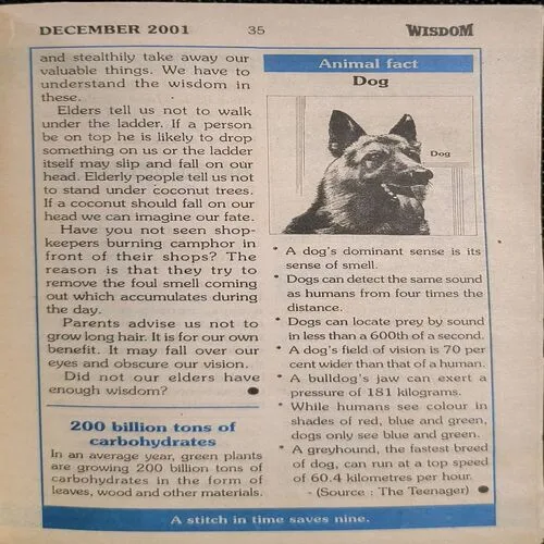 Document_73 Document_73