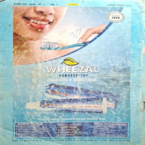 Document_8 Document_8