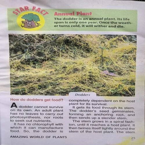 Document_88 Document_88