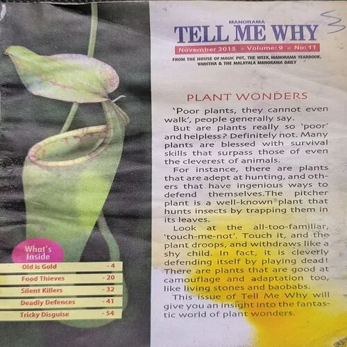 Document_89 Document_89