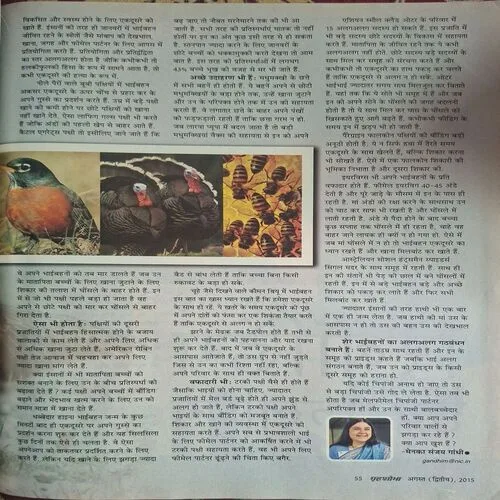 Document_91 Document_91