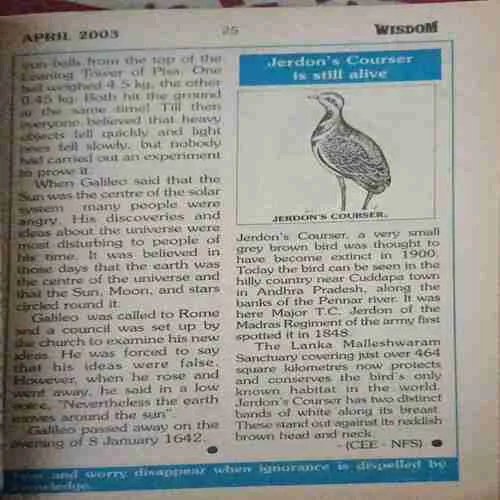 Document_95 Document_95