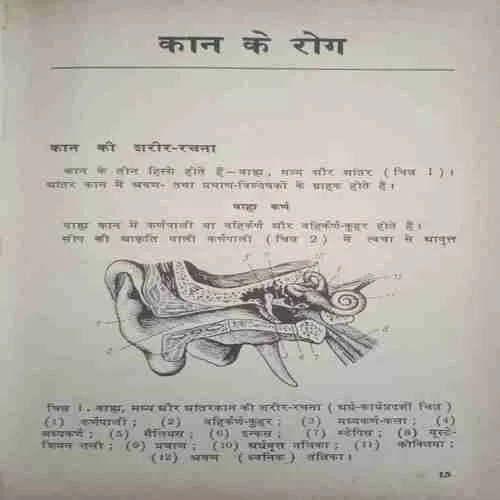 Document_98 Document_98