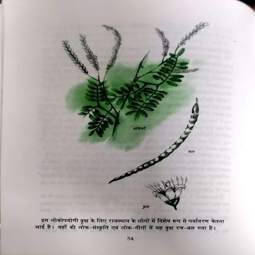 trashed-1764477839-Document 142_33