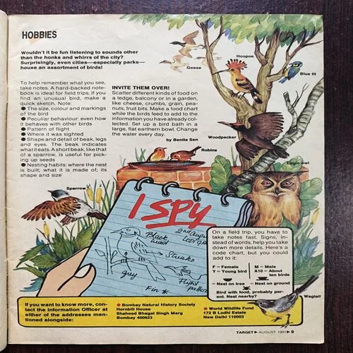 Target ( August 1991 )