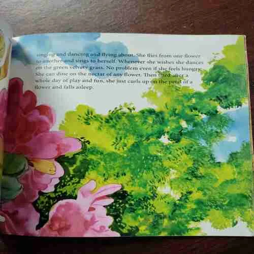 THE WEAVER - BIRD's NEST