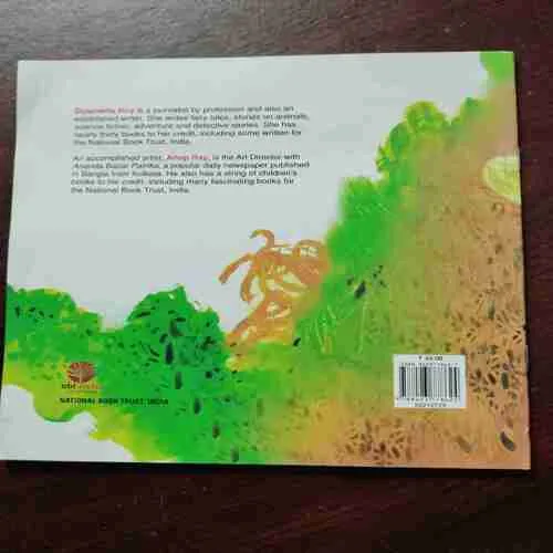 THE WEAVER - BIRD's NEST