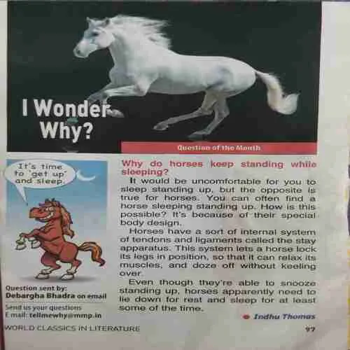 Tell Me Why ( March 2016 )