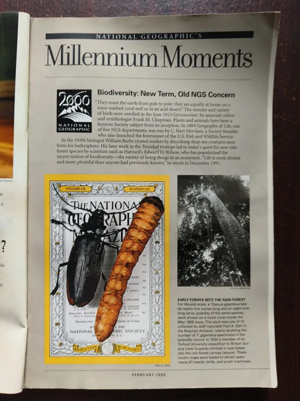 Document 18_52 National Geographic ( February 1999 )