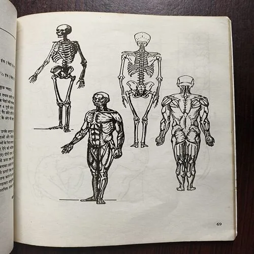 15 Day Drawing And Painting Course