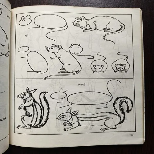 15 Day Drawing And Painting Course